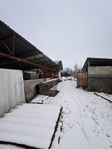 Продажа коттеджей и домов: Село Каирма продается участок 10 соток с домом контейнер 20 тонник — 18