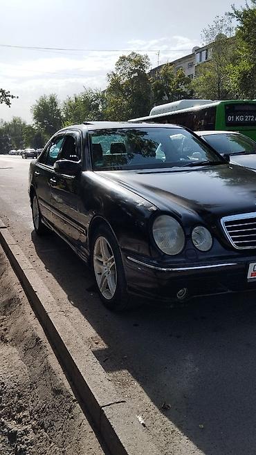 w210 430: Mercedes-Benz E-Class: 2000 г., 4.3 л, Автомат, Бензин, Седан — 6