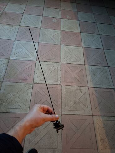 Avtomobil üçün alətlər: Avtomobil üçün xarici radio antenası - Uzun, elastik ştanqlı antena -