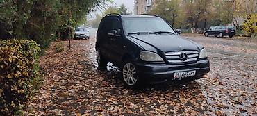 devo matiz: Mercedes-Benz M-Class: 1998 г., 3.2 л, Автомат, Бензин, Внедорожник — 1