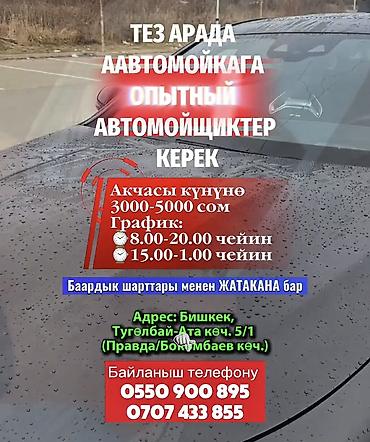 автомойка ош: Требуется Автомойщик, Оплата: Ежедневно, Процент от дохода — 1