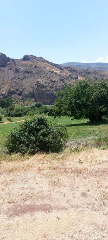 Torpaq sahələrinin satışı: Əkin sahəsi kənd təsərrüfatı fəaliyyəti üçün geniş imkanlar təklif — 7