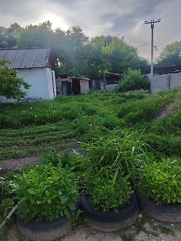выход к реке: Сокулук село Первомайская улица Ленина 74 Дом с большим участком и — 4