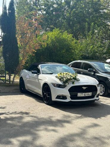 Digər avto xidmətlər: Toy, Nişan və digər tədbirlər üçün sifariş edə bilərsiz. ( Qiymət — 7