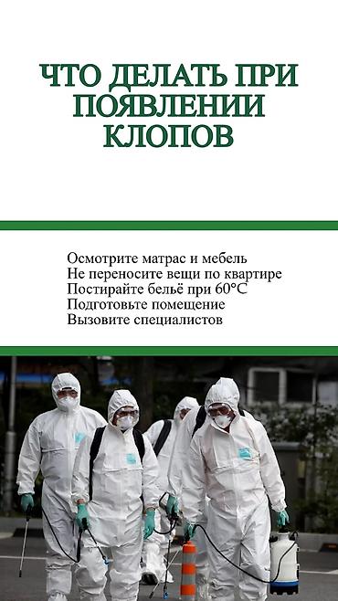 j 3: Дезинфекция, дезинсекция, | Клопы, | Транспорт, Офисы, Квартиры — 3