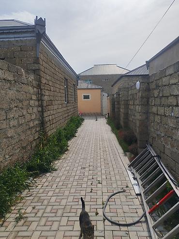 zig heyet evleri: 3 otaqlı həyət evi – rahat planlama və geniş həyət - Zal: iri ölçülü — 4
