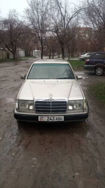 мерс кузов: Mercedes-Benz 230: 1992 г., 2.3 л, Механика, Бензин, Седан