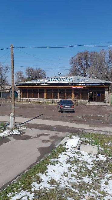 оптовый товар: Коммерческое помещение «Ласточка» в с. Петровка — отдельно стоящее — 1