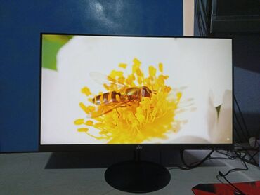 Мониторы: Монитор, Новый, 23" - 24" — 5