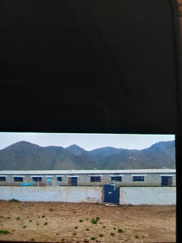 орловка кемин: Farm КРС, 52 соток, Действующий, Без оборудования, Холодная вода — 7