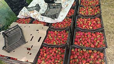 Ящики: Ящик, Новый — 6