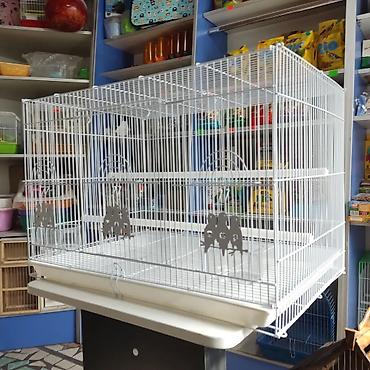 Зоотовары: Клетки для птиц — 6