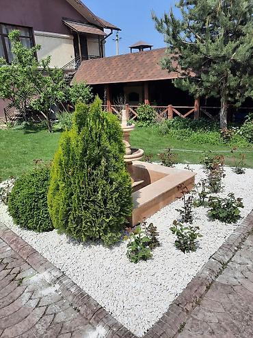 краш: Самовывоз, Платная доставка — 9