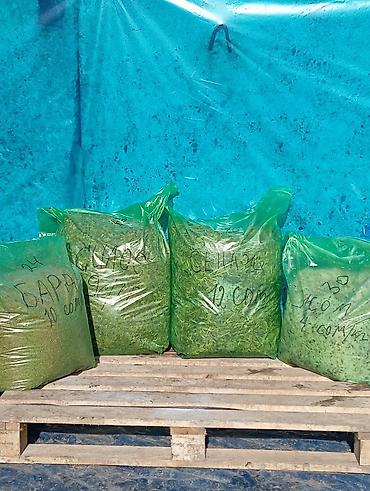 Корма для с/х животных: 50% КУКУРУЗЫ 25 кг ВЕС,С погрузкой выше 5 тонн договорная — 11