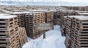 с бизнесом: Паддон сатып алабыз 
скупаем поддонов — 1
