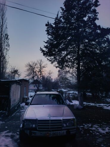 Mercedes-Benz: Mercedes-Benz W124: 1989 г., 2.5 л, Дизель, Седан — 8