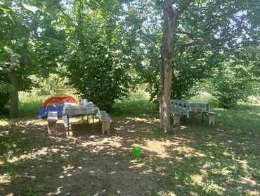 Həyət evləri və villaların satışı: 8 otaq, 250 kv. m, Orta təmir -da lalafo.az — 6 Həyət evləri və villaların satışı: 8 otaq, 250 kv. m, Orta təmir — 6