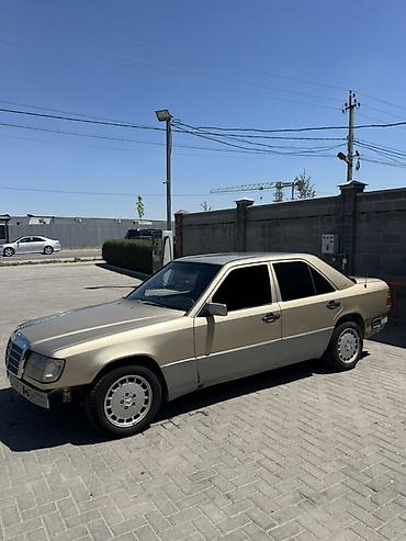 мэри: Mercedes-Benz W124: 1990 г., Седан — 6