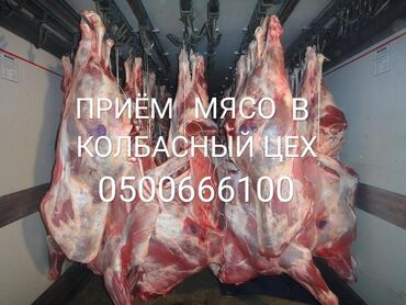 В колбасный цех, принимаем: коров, быков, лошадей,в любом виде, а