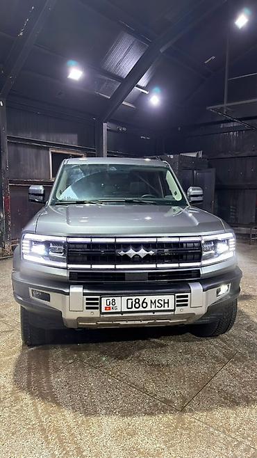 BAW: BAW : 2025 г., Внедорожник — 2