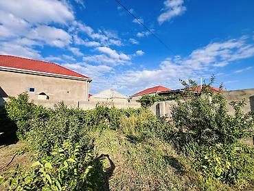 Həyət evləri və villaların satışı: 3 otaqlı, 100 kv. m, Kredit yoxdur, Orta təmir -da lalafo.az — 8 Həyət evləri və villaların satışı: 3 otaqlı, 100 kv. m, Kredit yoxdur, Orta təmir — 8
