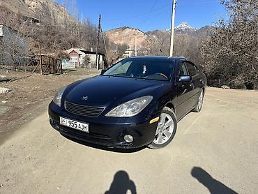 Lexus: Lexus ES: 2005 г., 3.3 л, Автомат, Газ, Седан — 2