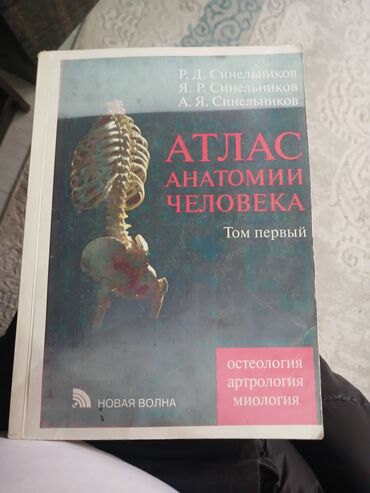 атлас синельникова: Продаю! Атлас анатомии человека. (Новая Волна) 2010год. Авторы