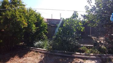 Bağ evlərinin kirayəsi: 130 kv. m, 3 otaqlı — 4