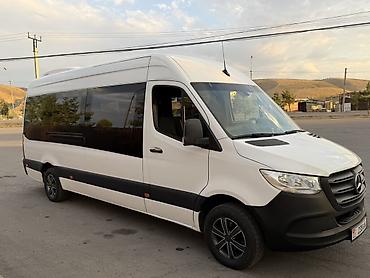 прокат колясок: Mercedes‑Benz Sprinter (длинная база, высокий потолок), белый цвет — 2