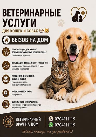 Животные: Ветеринар на выезд 24/7 Лечение Кастрация УЗИ КРС и Лошадей — 1