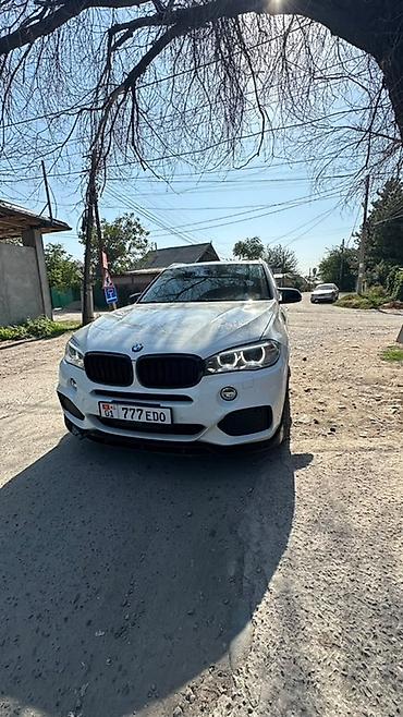 один владелиц: BMW X5: 2017 г., 3 л, Бензин, Кроссовер — 1