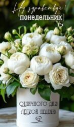 даром дом: Саламатсыздарбы мен жалгыз бой энемин квартирада турам колумда кичине