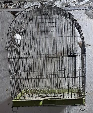 Qəfəslər: Quş qəfəsləri və volyerlər dəsti - Böyük metal volyer: möhkəm məftil — 2