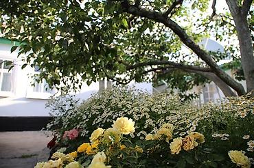 Иссык-Куль 2026: Номер, Чолпон-Ата — 3