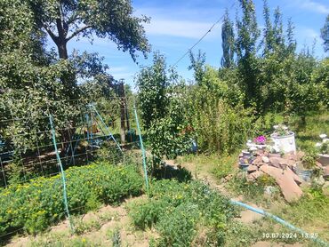 Продажа домов: Дом, 200 м², 11 комнат, Собственник at lalafo.kg — 10 Продажа домов: Дом, 200 м², 11 комнат, Собственник — 10