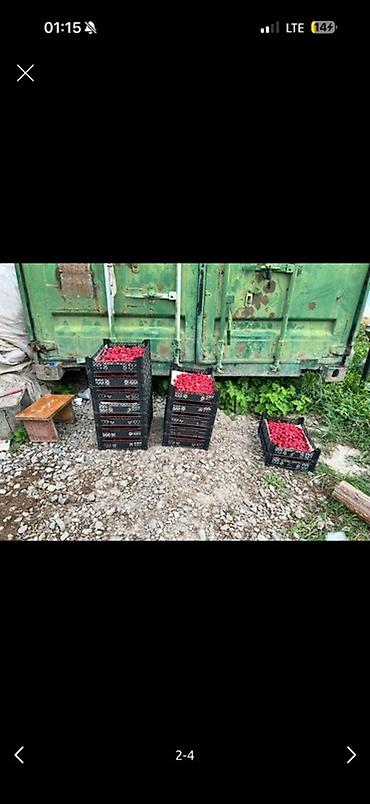 бокс сдаю: 200 соток Для сельского хозяйства, Электричество, Водопровод — 2