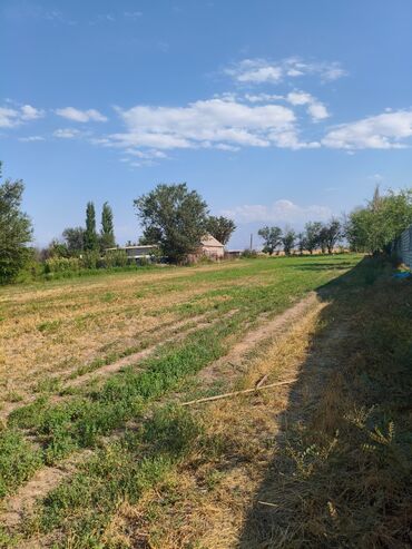 жалал абад аренда квартира: 25 соток, Для строительства