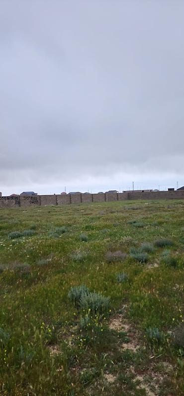 6000: 5 sot, Tikinti, Mülkiyyətçi, Kupça (Çıxarış) — 2