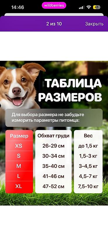 шлейка для кошки: Срочно продам шлейку новая!!!!! Покупала оказалась маленькой. Размер — 3
