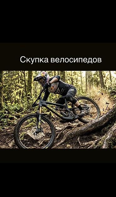 авто видео: Видеонаблюдение — 1