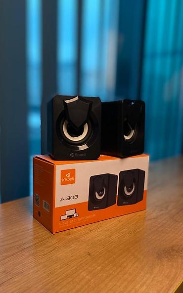 micro 43: Компактная акустическая система Kisonli A-808 - Формат: стереопара — 2