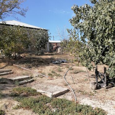 Həyət evləri və villaların satışı: 7 otaqlı, 450 kv. m, Orta təmir -da lalafo.az — 5 Həyət evləri və villaların satışı: 7 otaqlı, 450 kv. m, Orta təmir — 5