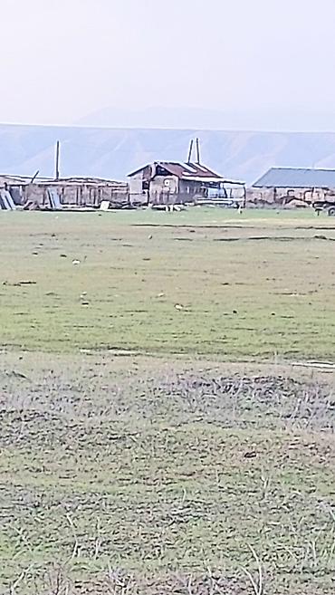 Torpaq sahələrinin satışı: 20000 sot, Kənd təsərrüfatı, Kupça (Çıxarış) — 5