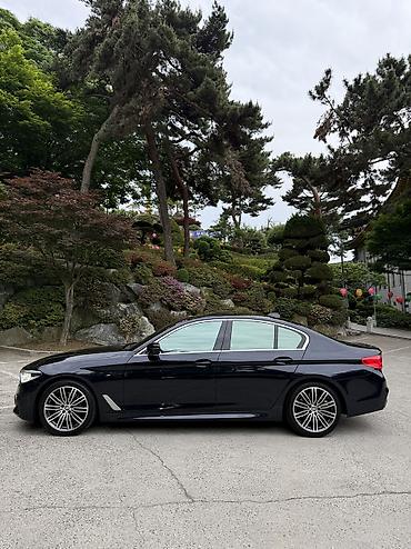 BMW: BMW 5 series: 2019 г., 2 л, Автомат, Бензин, Седан — 4