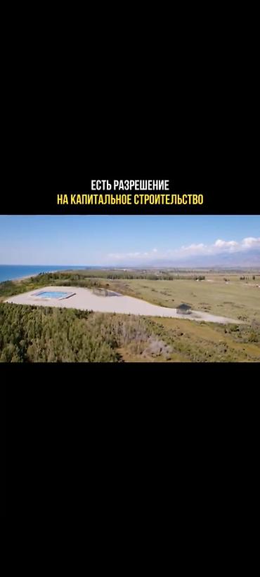 bay tash: 500 соток, Для бизнеса — 5