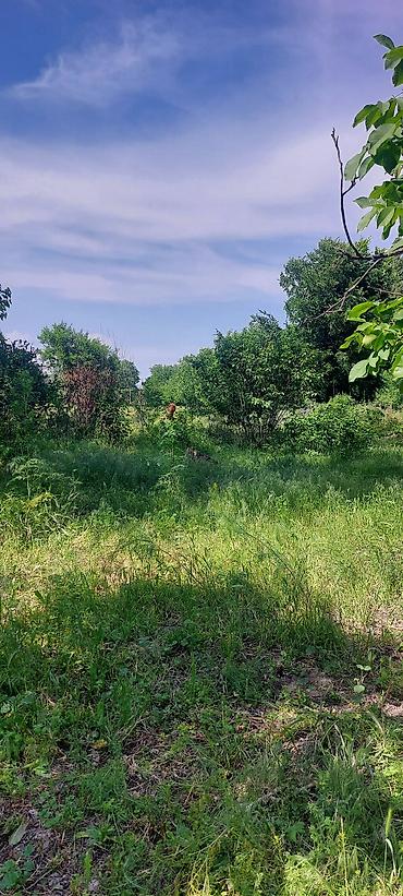 грин лэнд: Дом с участком рядом с городом. Село Туз, Иссык Атинский район, от — 4