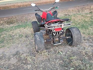 Квадроциклы: Квадроцикл Бензин, 250 куб. см, Взрослый at lalafo.kg — 5 Квадроциклы: Квадроцикл Бензин, 250 куб. см, Взрослый — 5