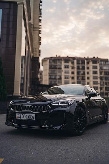 для химчистки салона: Kia Stinger: 2019 г., 2 л, Автомат, Бензин, Фастбек — 2