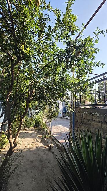 xirdalan kredit: 5 otaqlı, 145 kv. m, Kredit yoxdur, Yeni təmirli — 6