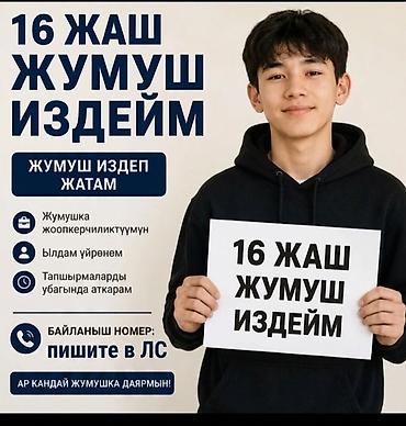 студентов: Ищу работу - Студент, Без опыта — 1
